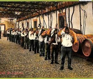 ad2461 - PORTUGAL - VINTAGE POSTCARD - Madeira