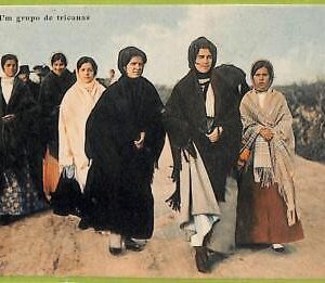ad3680 - PORTUGAL - VINTAGE POSTCARD  -  Aveiro