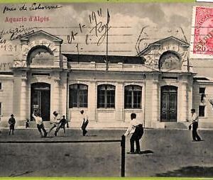 ad3678 - PORTUGAL - VINTAGE POSTCARD  -  Alges - 1911