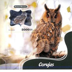 A7796a - Guinea-Bissau -  Stamp Sheet - 2014 BIRDS Owls