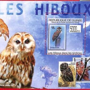 A0713  - GUINEE Guinea - ERROR  MISSPERF SHEET -    BIRDS Owls   2009