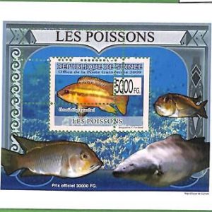 A0555 -  GUINEE Guinea -  ERROR   MISSPERF SHEET - MARINE FAUNA: Fish 2009