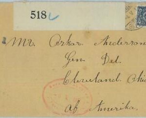 88966 - RUSSIA USSR - Postal History -  COVER to the USA 1917 - Double censor!
