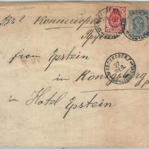 70105 - USSR  Russia  - POSTAL HISTORY -  STATIONERY  COVER to GERMANY  1890