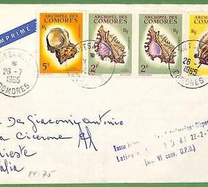 ZA0385 - COMORES - Postal History - Cover -  Shells  - 1965
