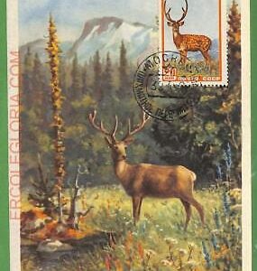 ZA0389 - USSR - Postal History - MAXIMUM - Animals, Deers