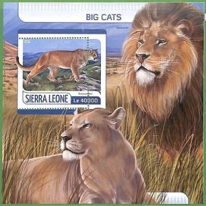 A2481 - SIERRA LEONE - ERROR: MISPERF, Souvenir sheet - 2017, Big Cats, Lions