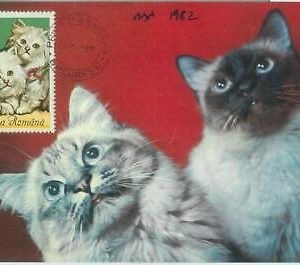 67491 -  ROMANIA  - Postal History -  Maximum CARD 1982 -  CATS cat