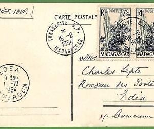 ZA0408 - MADAGASCAR - Postal History - POSTCARD - Cactusses - 1954