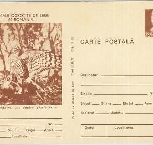 75718 - ROMANIA - POSTAL HISTORY -   STATIONERY  CARD -  Birds OWL