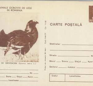 75721 - ROMANIA - POSTAL HISTORY -   STATIONERY  CARD -  Birds OWL  Grouse