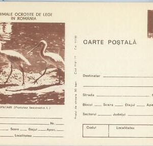 75727 - ROMANIA - POSTAL HISTORY -   STATIONERY  CARD - Birds OWL spoonbill IBIS