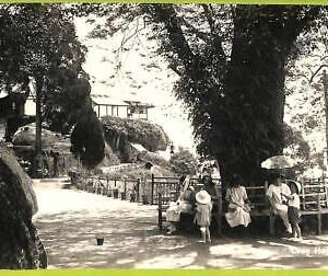 ae9059 - MALAYA -  VINTAGE POSTCARD -  Penang - Ethnic