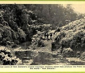 ae9189 - NEW ZEALAND - VINTAGE POSTCARD
