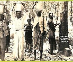 ae9065 - MALAYA -  VINTAGE POSTCARD -  Penang - Ethnic