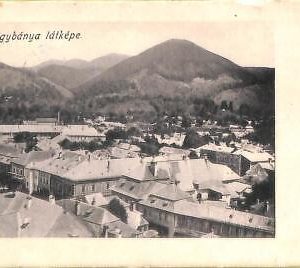 ac5652 - ROMANIA  -  VINTAGE  POSTCARD - Baia Mare, Nagybanya - 1905