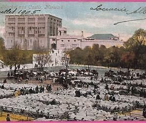 55239 -  GREAT BRITAIN - VINTAGE POSTCARD - Norwich - 1905