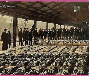 20396 - GREAT BRITAIN - VINTAGE POSTCARD - Aberdeen, The Fish Market