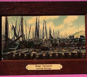 20270 - GREAT BRITAIN - VINTAGE POSTCARD - Great Yarmouth