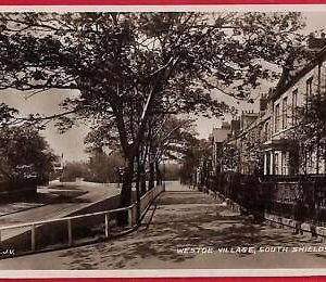 ai0375 -  GREAT BRITAIN - VINTAGE POSTCARD - South Shields, Westoe Village
