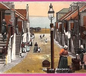 1655 - GREAT BRITAIN - VINTAGE POSTCARD  - New Lane, Newhaven