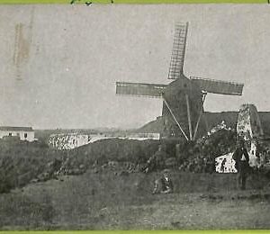 ad3425 - PORTUGAL - VINTAGE POSTCARD  - AZORES