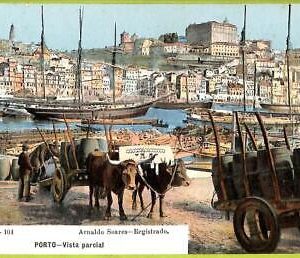 ad3614 - PORTUGAL - VINTAGE POSTCARD  - PORTO