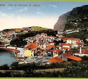 ad2442 - PORTUGAL - VINTAGE POSTCARD - Madeira