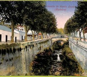 ad2438 - PORTUGAL - VINTAGE POSTCARD - Madeira