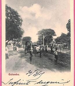 af9313 - CEYLON  -  VINTAGE POSTCARD - Colombo