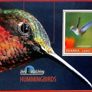A3171- UGANDA ERRORE MISSPERF Souvenir s: 2014 Colibrì Archilochus alexandri