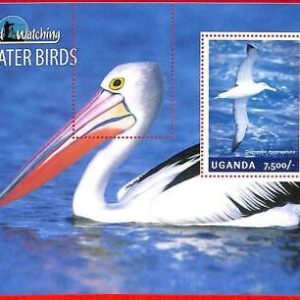 A3170 - UGANDA, ERROR MISSPERF Souvenir s: 2014 Aves acuáticas, Diomedea...