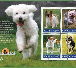 A3165 - UGANDA, ERROR MISSPERF: 2014, Perros, Papillons, Chihuahuas, York...