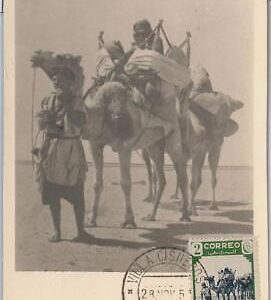 52622 - Spanish  SAHARA  - MAXIMUM CARD - ANIMALS Cammels 1956