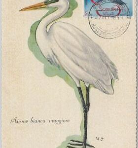 52630   - SOMALIA  - MAXIMUM CARD - ANIMALS Birds HERON  1959