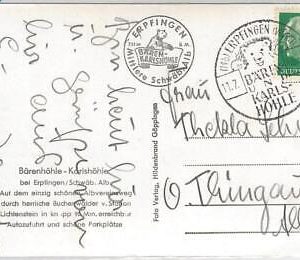 42938 - GERMANY - POSTAL HISTORY - POSTMARK on POSTCARD - FAUNA: BEAR 1956
