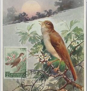 52655 - SAN MARINO  - MAXIMUM CARD - ANIMALS Birds  1960