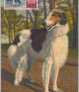 52678  - SAN MARINO  - MAXIMUM CARD - ANIMALS dog BORZOI 1956
