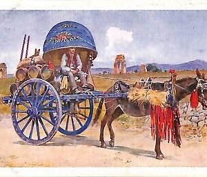 ab3216 - CARTOLINA D'EPOCA - Roma Provincia - Costumi Carro da vino