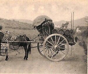 ab3220 - CARTOLINA D'EPOCA - Roma Provincia - Costumi  Carro da vino