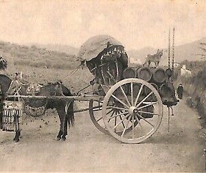ab3222 - CARTOLINA D'EPOCA - Roma Provincia - Costumi  Carro da vino
