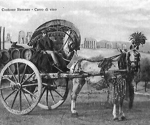 ab3224 - CARTOLINA D'EPOCA - Roma Provincia - Costumi  Carro da vino