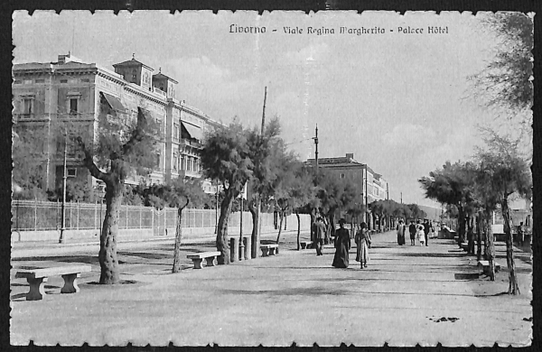 ac7241 - CARTOLINA D'EPOCA - Livorno Città -  Viale Regina Marherita