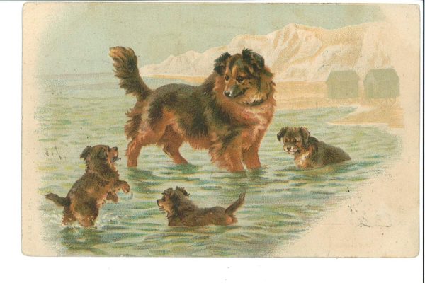 ai5640 - CARTOLINA D' EPOCA - Siena Provincia - Monteroni d'Arbia - immagine 2