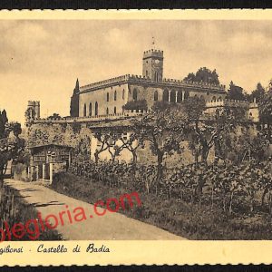 ai5643 - CARTOLINA D' EPOCA - Siena Provincia - Poggibonsi