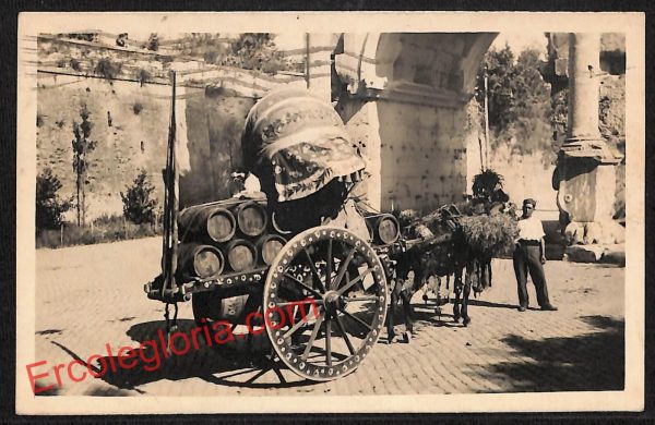ai0950 - CARTOLINA D'EPOCA - Roma Città - Carro da Vino