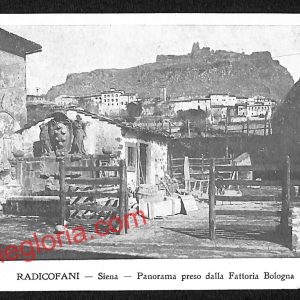 ai5661 - CARTOLINA D' EPOCA - Siena Provincia - Radicofani