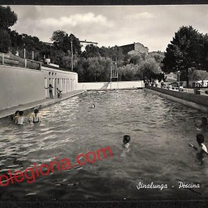 ai5664 - CARTOLINA D' EPOCA - Siena Provincia - Sinalunga
