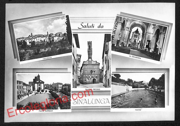 ai5667 - CARTOLINA D' EPOCA - Siena Provincia - Sinalunga