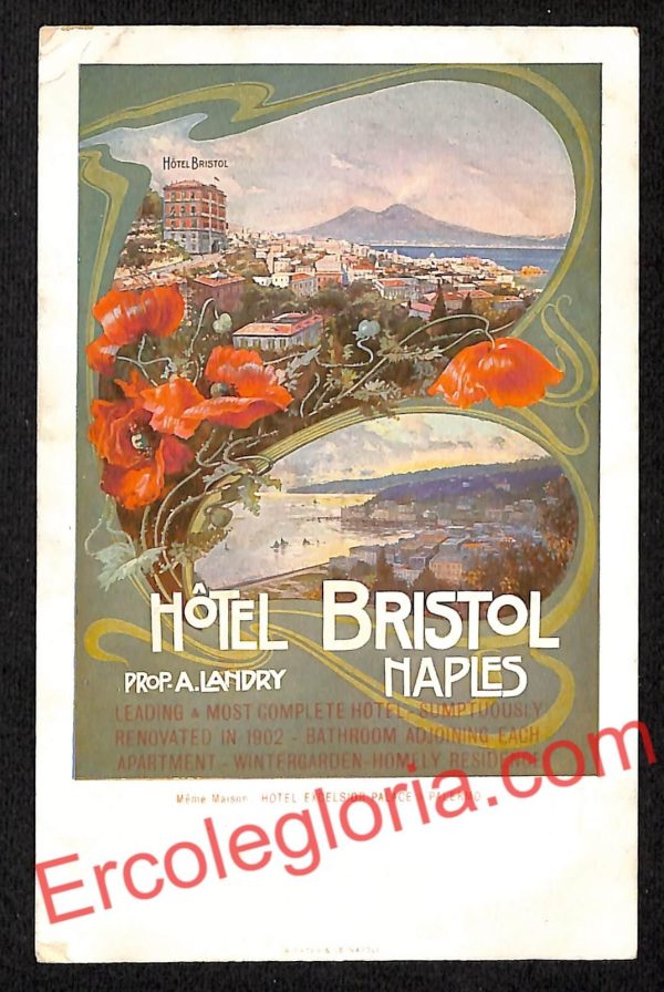 ah3710 - CARTOLINA D'EPOCA - Napoli Città - Hotel Bristol